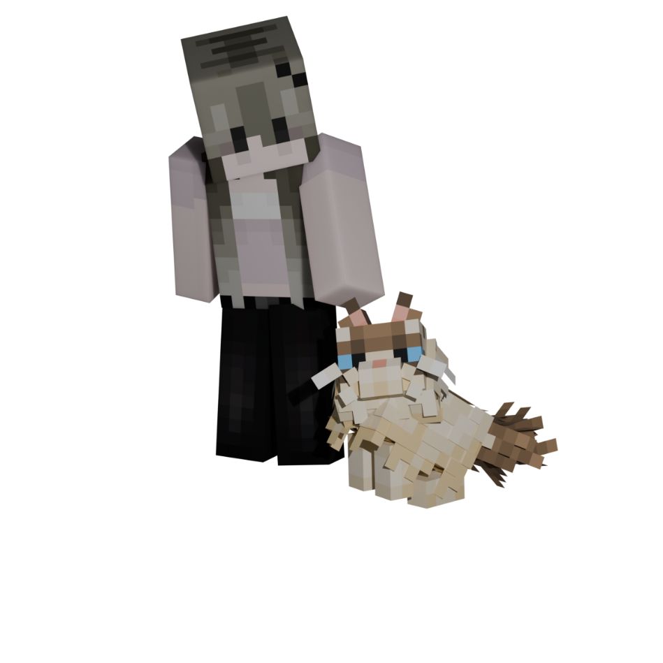 Ragdoll
